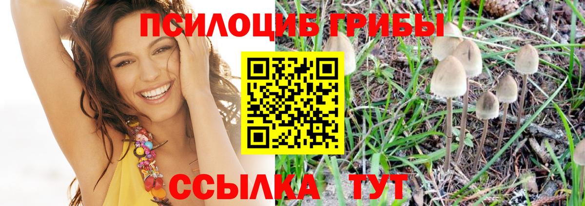 Каспийск  Галлюциногенные грибы MAGIC MUSHROOMS  Вход с VPN 