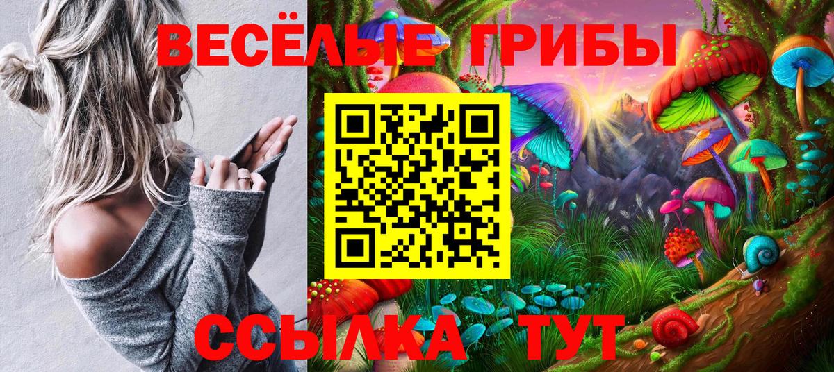 Псилоцибиновые грибы Psilocybine cubensis Каспийск